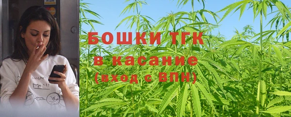 МДПВ Бородино