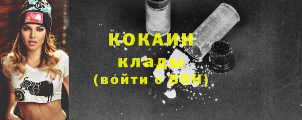крисы Верея