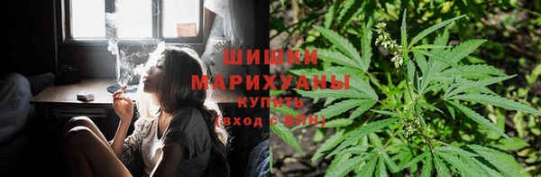 крисы Верея