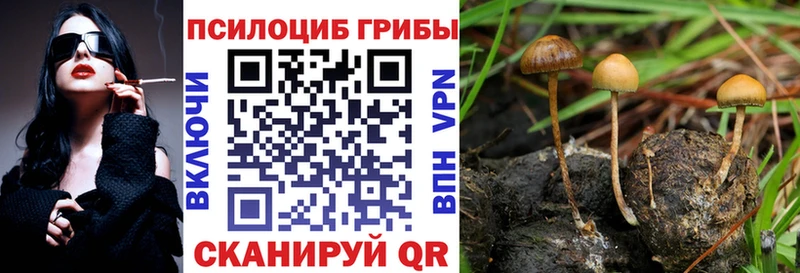 где можно купить наркотик  Ахтырский  MEGA tor  Галлюциногенные грибы GOLDEN TEACHER 